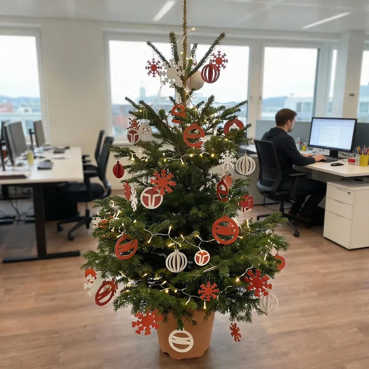 alt descripció de la foto